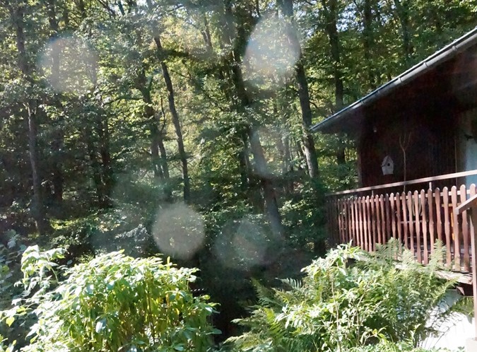 photo/D-54570-23 (21).JPG